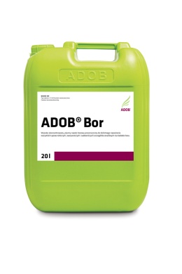 Adob Bor