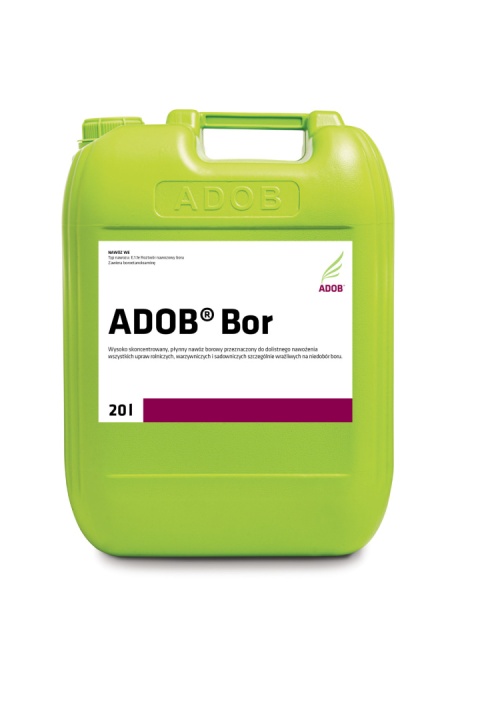 Adob Bor