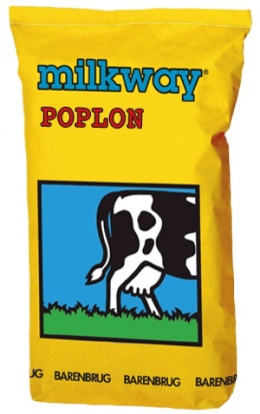 Barenbrug B&G-13 Milkway poplon