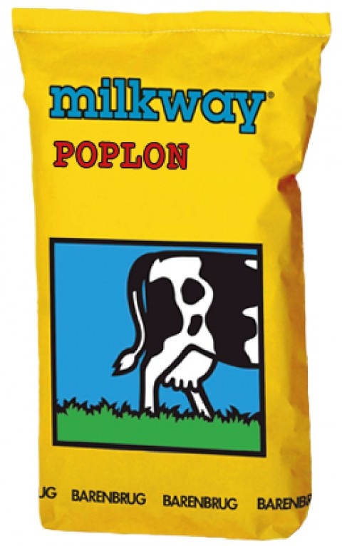 Barenbrug B&G-13 Milkway poplon