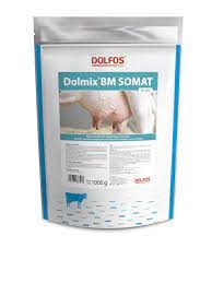 Dolfos Dolmix BM Somat Plus na somatykę