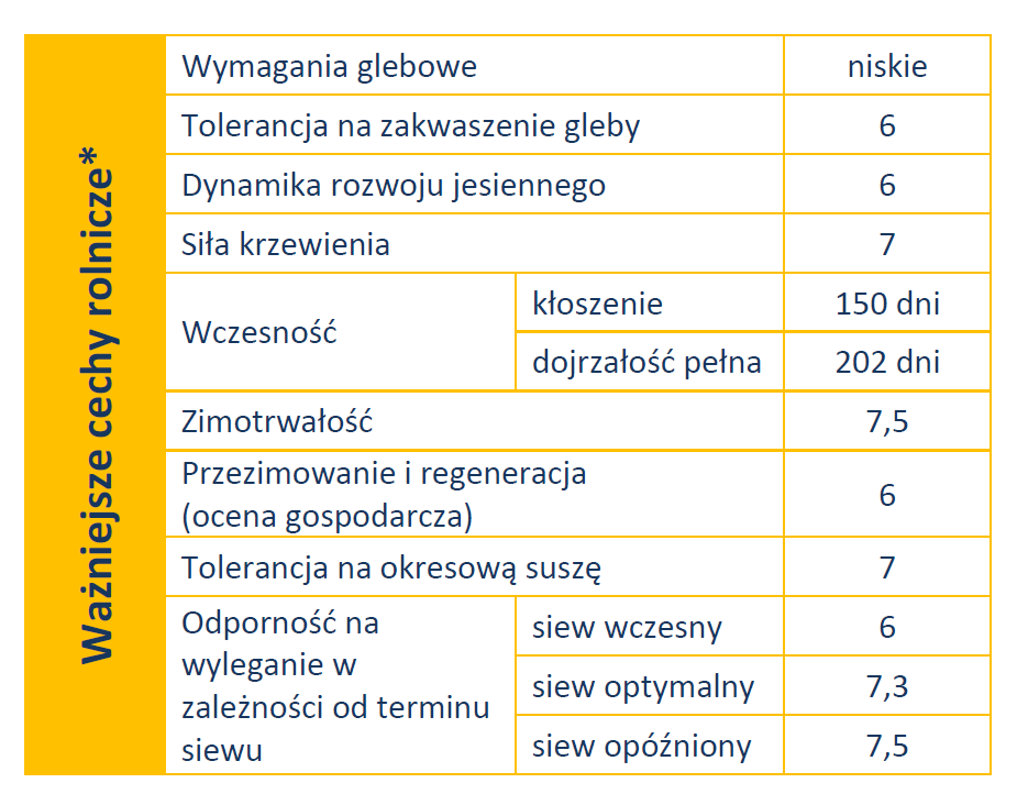 Mrozoodporna pszenica ozima Wilejka